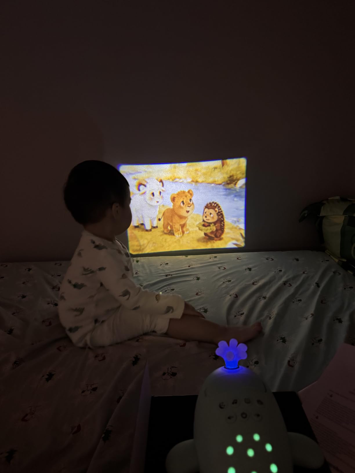 Kids Story Projector for Ages 3-7 with 30 Story Cards,Screen-Free Storytelling Device with Remote, Adjustable Stand, Portable Rechargeable, 160+ Audio Tracks, Gift for Boys & Girls customer photo 2